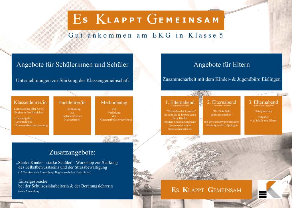 Grafik zum 5er-Konzept am EKG